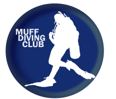 Muff Divers