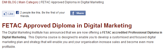 Digital Marketing Institute FETAC